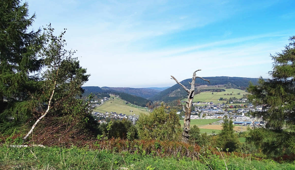 Blick vom Ettelsberg hinab auf die Ortschaft Willingen (Sauerland)
