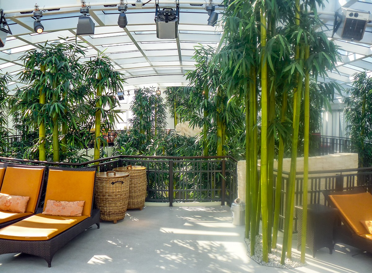 AIDAblu (AIDA Cruises) - Wellness Oase mit auffahrbarem Glasdach (Deck 15)