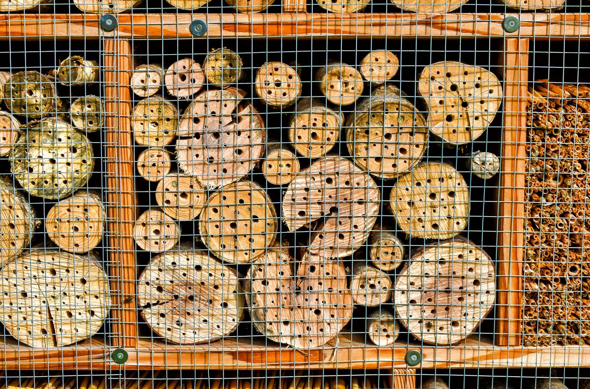 Bad Birnbach (Bayern) - Insektenhotel im Kurpark