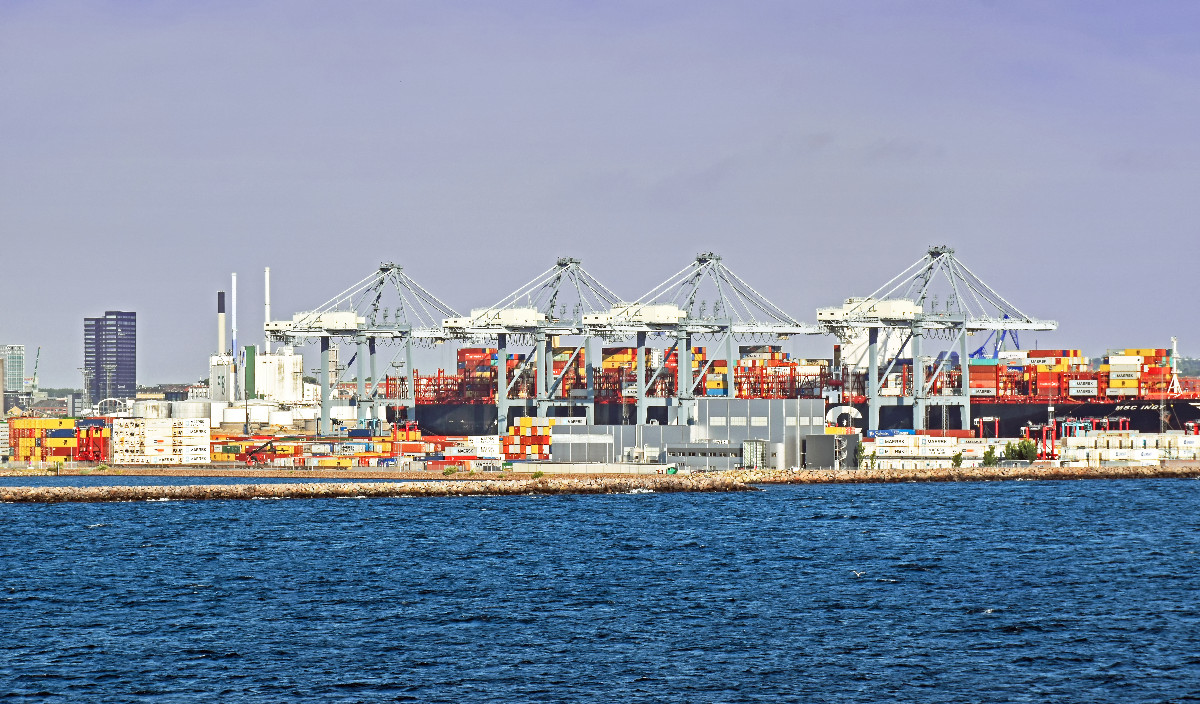Containerschiff MSC INGY (IMO: 9755945) im Hafen von Aarhus (Dänemark)
