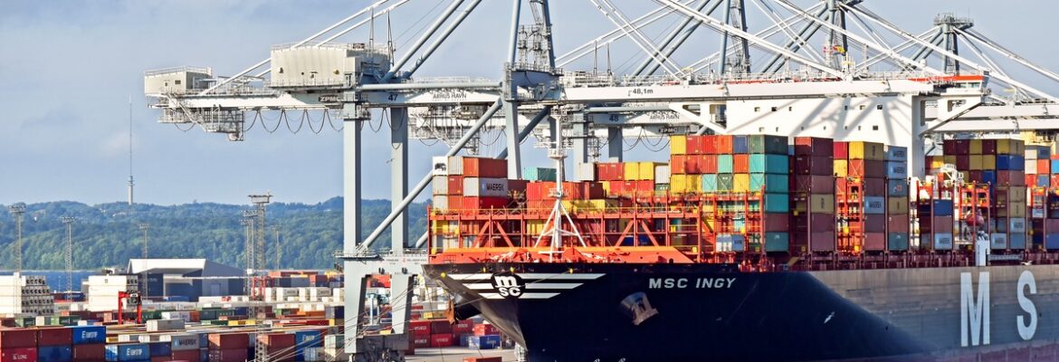 MSC INGY (IMO: 9755945)